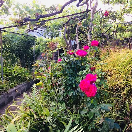 Quinta Da Colina Tatil Evi