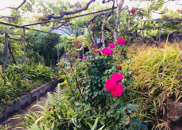 Quinta Da Colina Дом отдыха