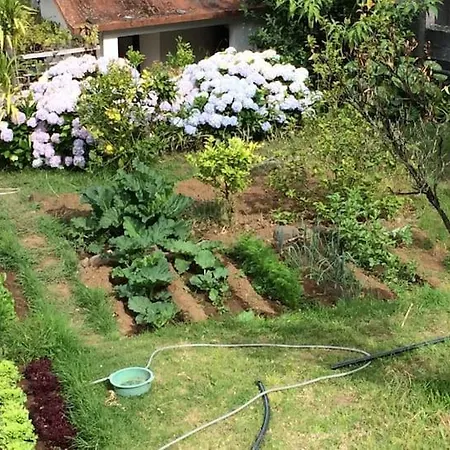 Quinta Da Colina * São Vicente