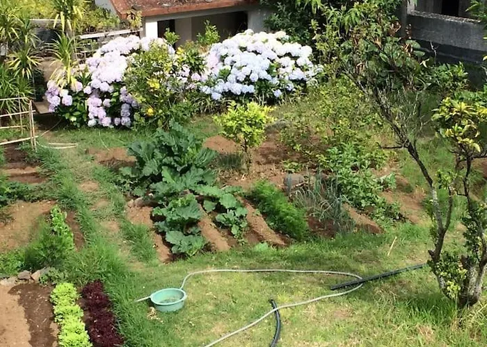 Quinta Da Colina * São Vicente